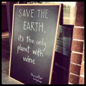 Obrázek 'save the earth'