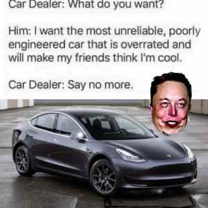 Obrázek 'say no more musk'