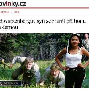 Obrázek 'schwarzenberg hon'