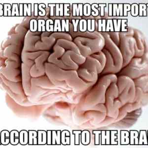 Obrázek 'scumbag brain'