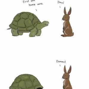 Obrázek 'scumbag turtle'