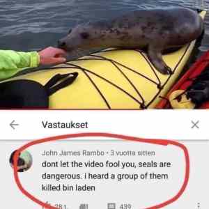 Obrázek 'seals are dangerous'