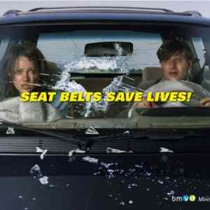 Obrázek 'seat belts save lives 2'