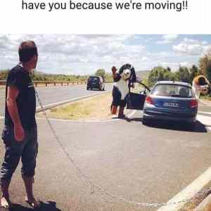 Obrázek 'see&nbsp;you&nbsp;Goodbye&nbsp;&nbsp;&nbsp;&nbsp;&nbsp;'