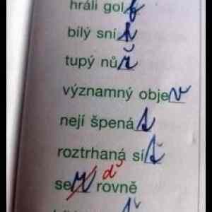 Obrázek 'sej rovne'