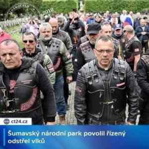 Obrázek 'selmy&nbsp;na&nbsp;Sumave'