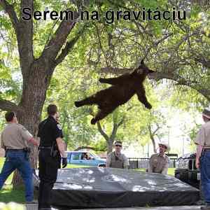 Obrázek 'serem na gravitaciu'