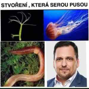 Obrázek 'serou pusou'