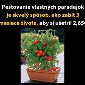 Obrázek 'setrenim ku zdravi'