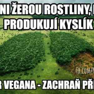 Obrázek 'sezer.vegana'