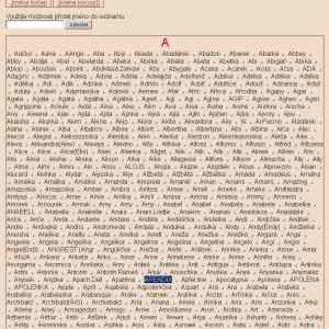 Obrázek 'seznam jmen pro kocky'