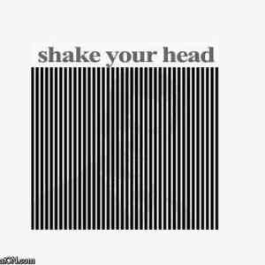 Obrázek 'shake your head'