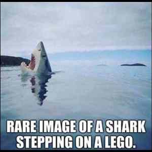 Obrázek 'shark-lego'