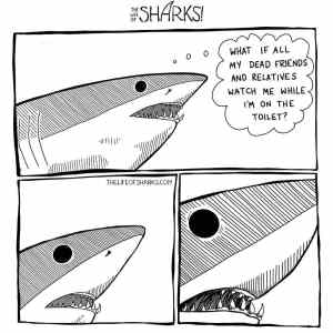Obrázek 'shark life'