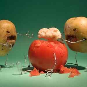 Obrázek 'shaved kiwis eatings  tomatos brains'