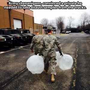 Obrázek 'shenanigans'