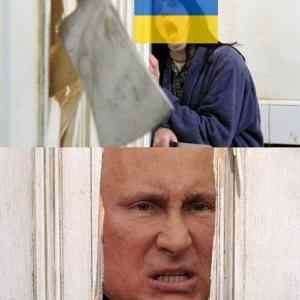 Obrázek 'shining&nbsp;UA'