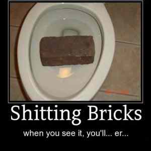 Obrázek 'shitting-bricks'