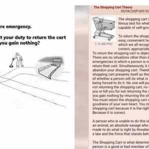 Obrázek 'shopping cart theory'