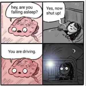 Obrázek 'shut up brain '