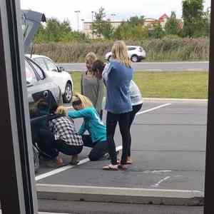 Obrázek 'sikovne&nbsp;holki&nbsp;&nbsp;'