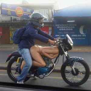 Obrázek 'sikovnej&nbsp;klempir'