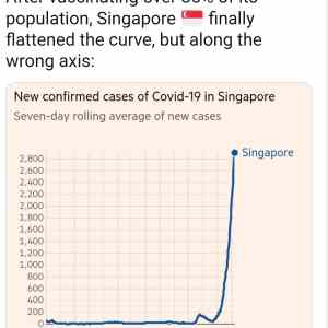 Obrázek 'singapore flattened'