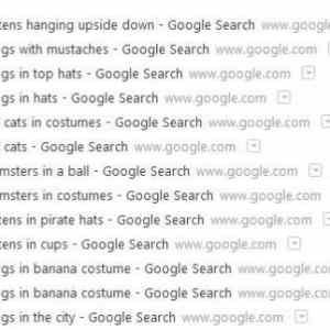Obrázek 'sisters search history'