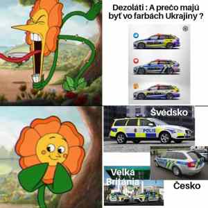 Obrázek 'sk&nbsp;dezolati'