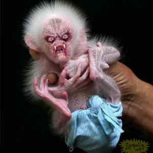 Obrázek 'skareda&nbsp;opicka'