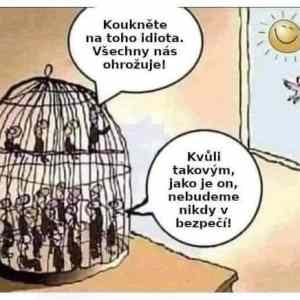 Obrázek 'skoro ovce'