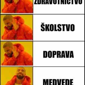 Obrázek 'skutocne problemy a medvede'
