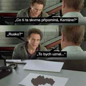 Obrázek 'skvrna'