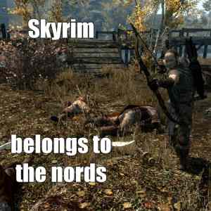 Obrázek 'skyrim belongs to the nords'