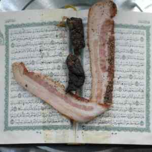 Obrázek 'slaninova zalozka v koranu'