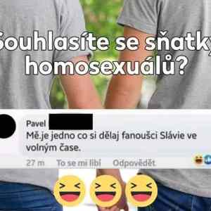 Obrázek 'slavista ve volnu'