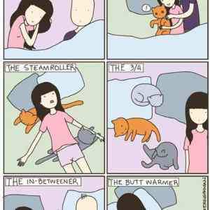 Obrázek 'sleeping with cats'