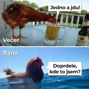 Obrázek 'slepice na pivu'