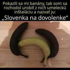 Obrázek 'slovenka na dovolene'
