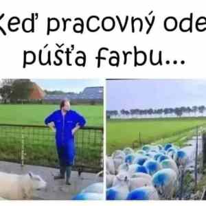 Obrázek 'slovensky pracant'