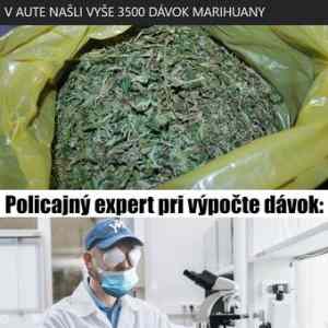 Obrázek 'slovensti experti'