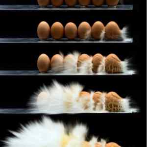 Obrázek 'slow-egg'