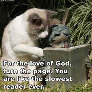 Obrázek 'slowest reader'