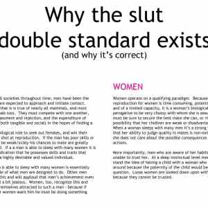 Obrázek 'slut double standard is correct'