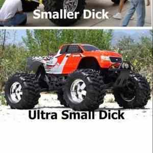 Obrázek 'small dick'