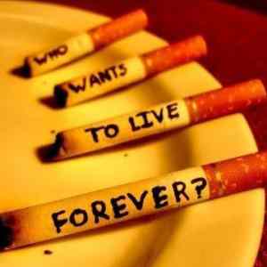 Obrázek 'smoking&nbsp;is&nbsp;fun'