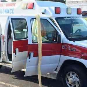 Obrázek 'snake-ambulance'