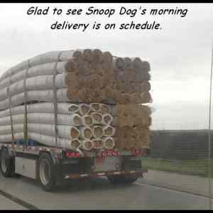 Obrázek 'snoop dog - delivery'
