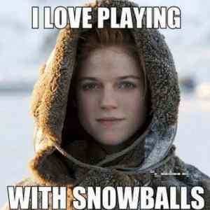 Obrázek 'snowballs'