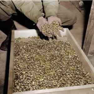 Obrázek 'snubni prsteny ukradene v tabore Buchenwald'